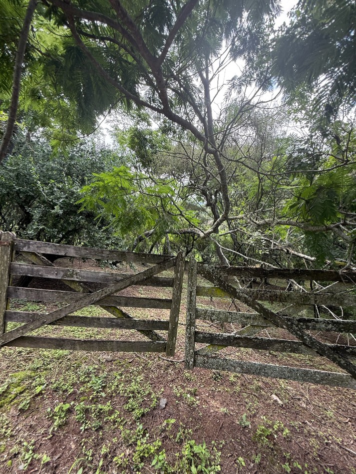 TERRENO EN VENTA EN LAS DELICIAS - RACO