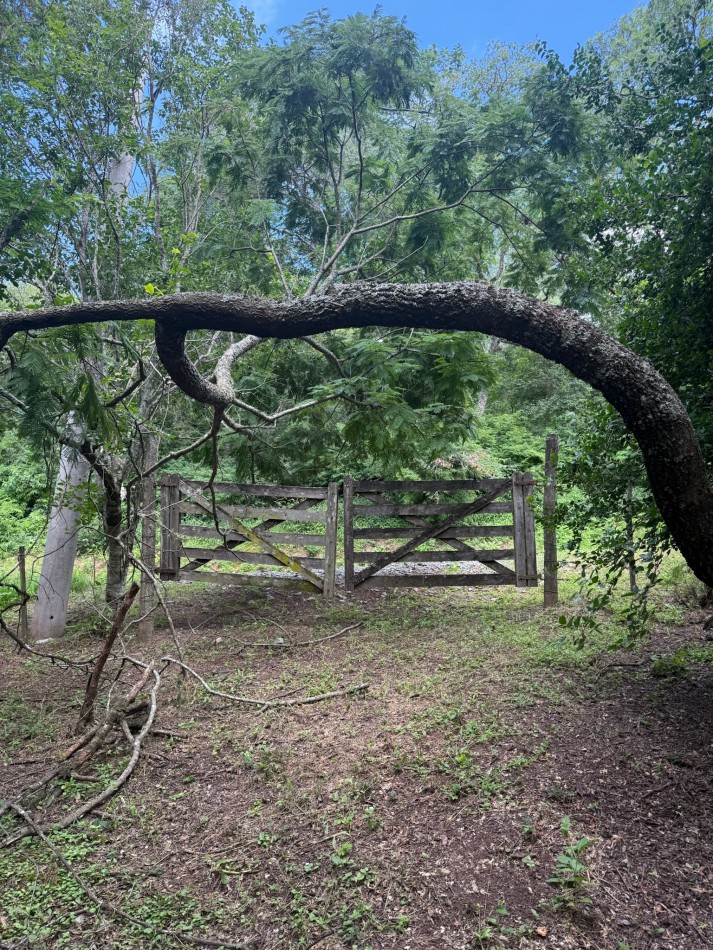 TERRENO EN VENTA EN LAS DELICIAS - RACO