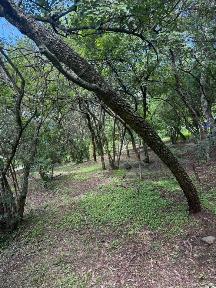 TERRENO EN VENTA EN LAS DELICIAS - RACO